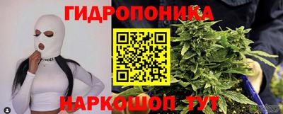 кокс Обь