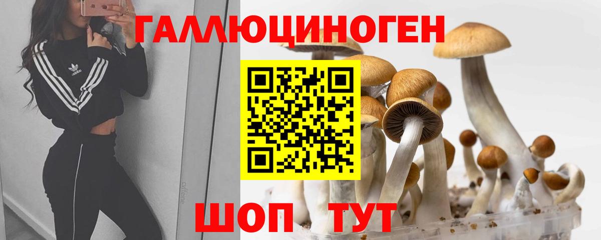 Семилуки  Псилоцибиновые грибы Cubensis  Вход с VPN 